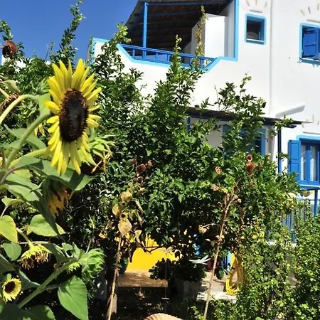 Apartment Titika Katapola