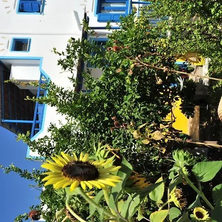 Apartment Titika Katapola